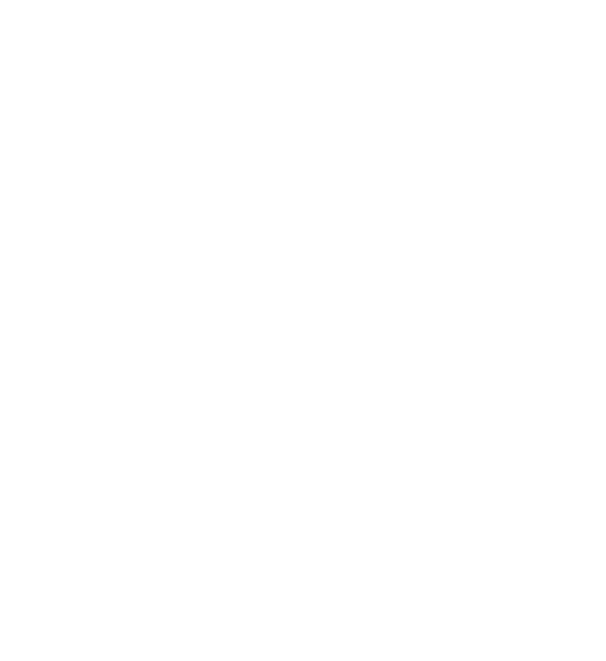 Focuzed - Brand - Octagon Symbol 002