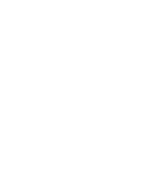Focuzed - Brand - Octagon Symbol 003